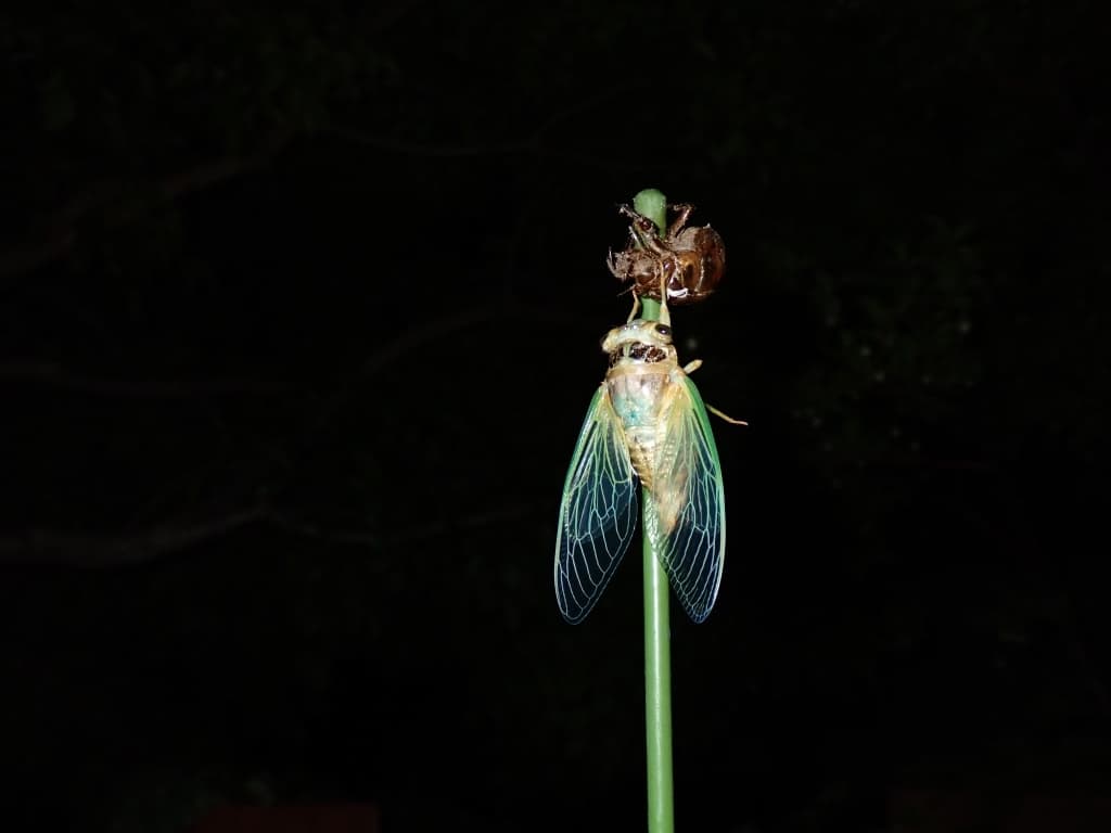 img20260630124800305672.jpg